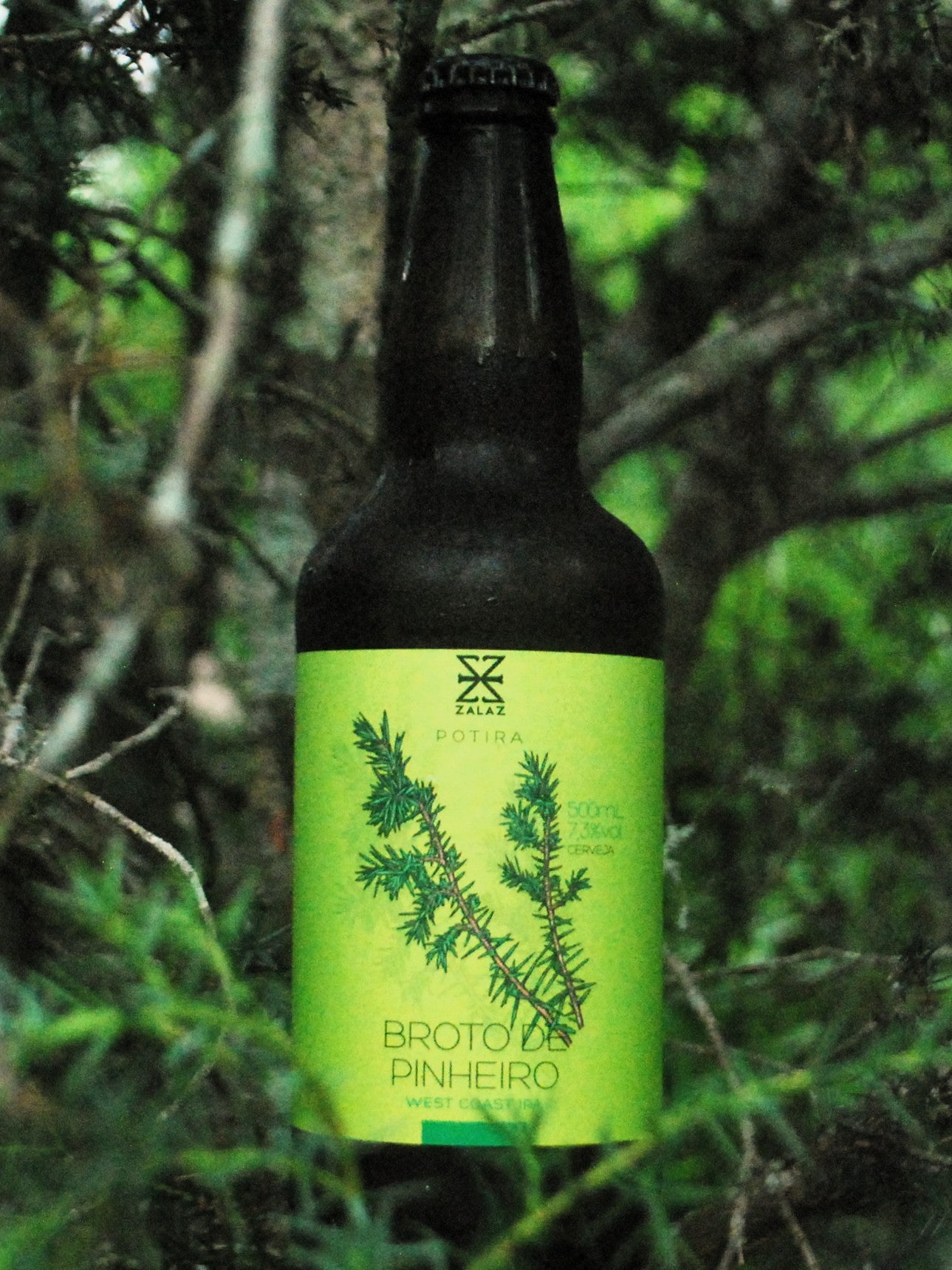 Cerveja Broto de Pinheiro – ZalaZ