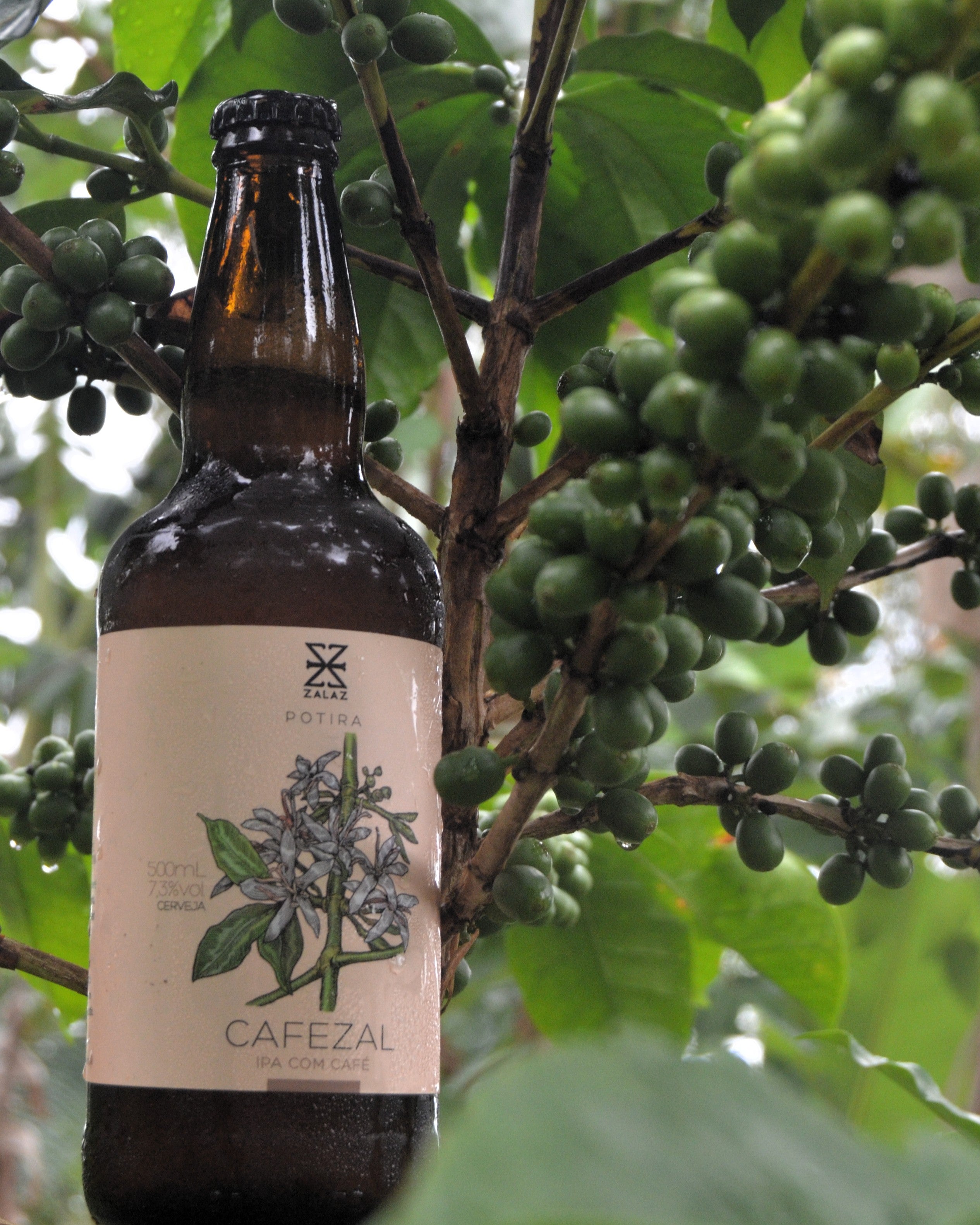 Cerveja Cafezal - Coffee IPA – ZalaZ